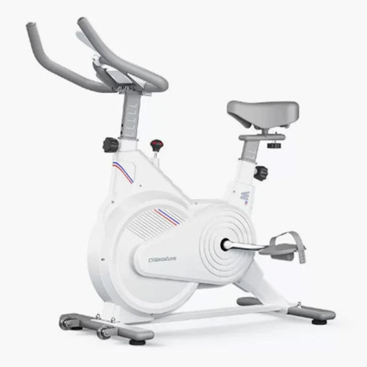 Indoor Stationary Spin Bike, Silent Magnetic Resistance Exercise Bike with LCD Monitor, Home Gym Cardio Workout Equipment