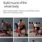 Heavy Duty Adjustable Weight Bench Multifunctional Incline Decline Dumbbell Press Sit Up Fitness Equipment for Home Gym