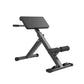 Foldable Adjustable Roman Chair Hyperextension Bench, Multi-Functional Preacher Curl & Back Extension Machine for Home Gym, Leg