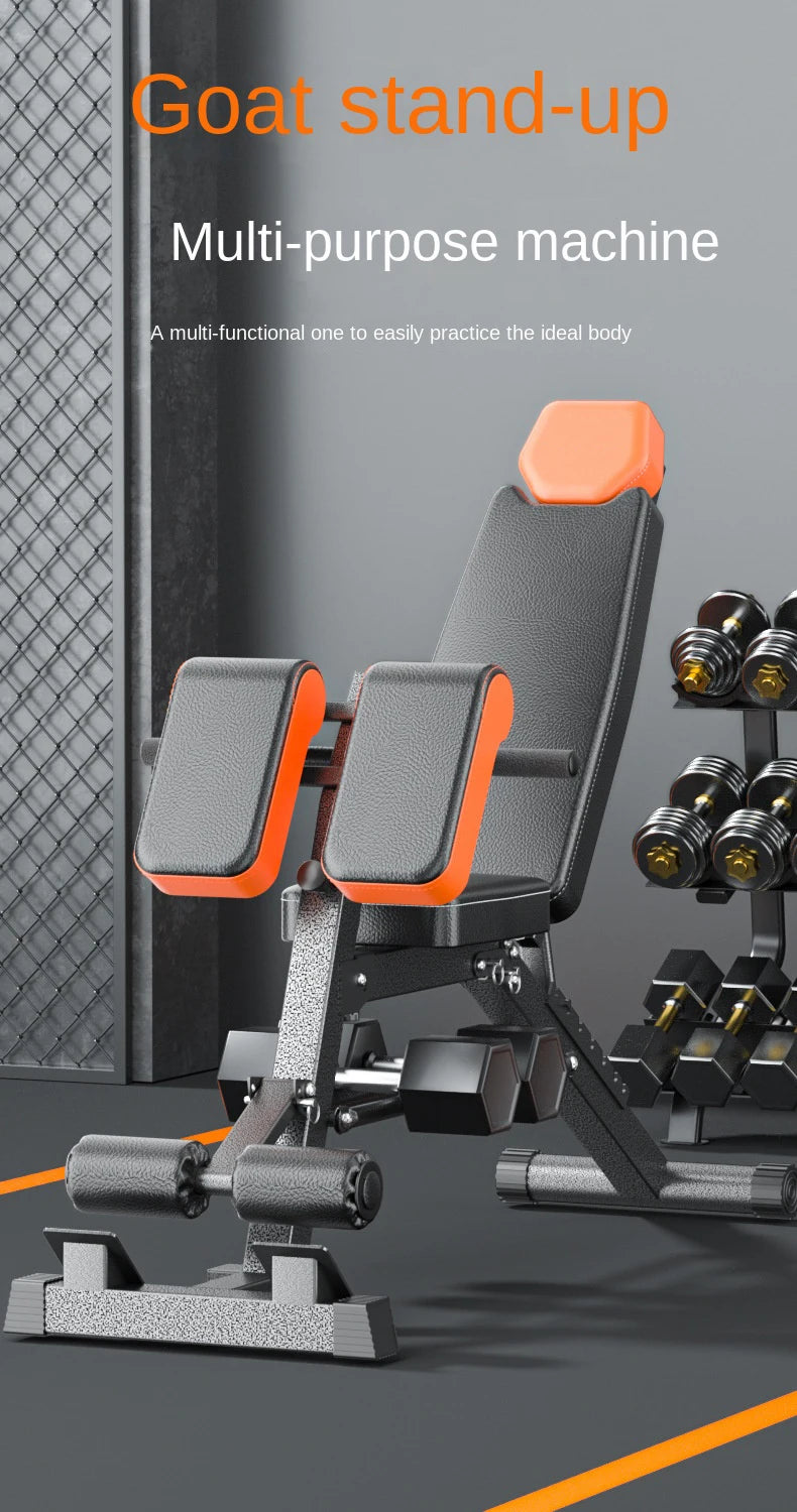 Adjustable Roman Chair Hyperextension Bench Back Extension Abdominal Core Trainer Home Gym Fitness Equipment