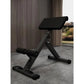 Foldable Adjustable Roman Chair Hyperextension Bench, Multi-Functional Preacher Curl & Back Extension Machine for Home Gym, Leg