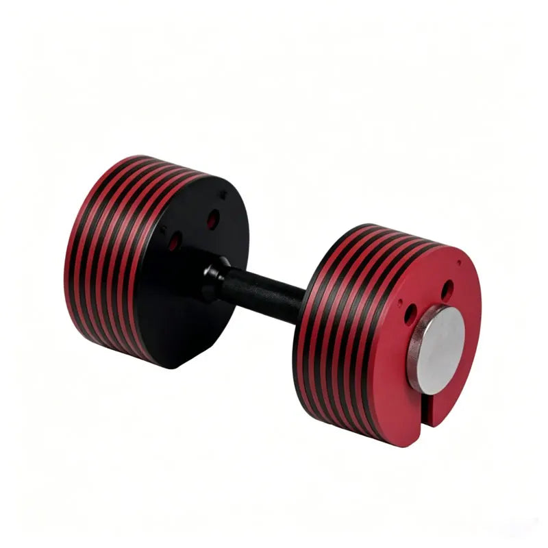 Colorful Adjustable Dumbbell, Customizable Weight Training Set, Portable Free Weights for Home Gym, Fitness & Bodybuilding